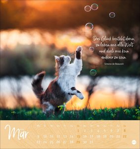 Tage voller Glück Postkartenkalender 2026