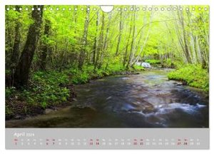 Waldbäche - Im Wandel der Jahreszeiten (Wandkalender 2024 DIN A4 quer), CALVENDO Monatskalender