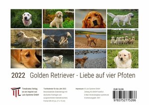 Golden Retriever - Liebe auf vier Pfoten 2022 - Timokrates Kalender, Tischkalender, Bildkalender - DIN A5 (21 x 15 cm)