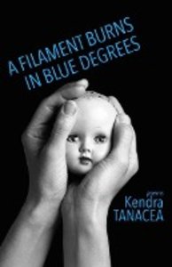 A Filament Burns in Blue Degrees: Poems