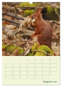 Waldmomente (Wandkalender 2024 DIN A3 hoch), CALVENDO Monatskalender