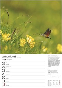 Heimische Tiere Wochenplaner 2023. Jede Woche schöne Tierfotos in einem praktischen Kalender zum Eintragen. Ein Terminkalender für die Wand mit tollen Aufnahmen und viel Platz für Notizen.