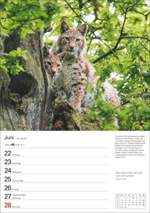 Naturschätze Deutschlands Wochenplaner 2026 - Eine Reise in 53 Bildern