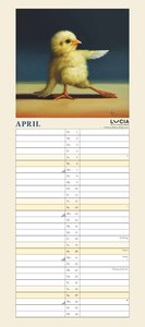 Lucia Heffernan: Yoga Chicks Planer 2025 – Wandkalender – Notiz-Kalender mit 2 Spalten – Format 22 x 49,5 cm