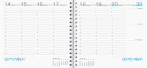 Wochenbuch Assessor 2023 - Bürokalender 15,8x14,7 cm - 1 Woche auf 2 Seiten - mit Ringbindung - Buchkalender - Notizbuch - 790-0098