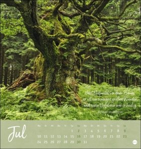 Unser Wald Postkartenkalender 2023