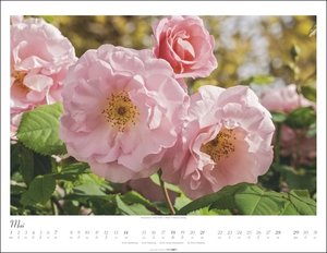Im duftenden Rosengarten Kalender 2023. Wandkalender mit 12 Fotos romantischer Rosen-Gärten. Farbenprächtiger Duft-Kalender für die Wand. Fotokalender mit 44x34 cm