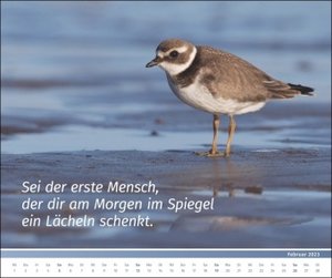 PAL-Lebensfreude-Inspirationen-Kalender 2023: Wandkalender ,zum Aufhängen, wunderschöne Landschaftsmotive mit motivierenden und ,positiven Gedanken. 56 x 45cm