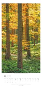 Im Wald Kalender 2025