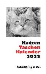 Katzen Taschenkalender 2022