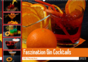 Faszination Gin Cocktails (Wandkalender 2023 DIN A2 quer)