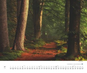 Waldspaziergang 2025 – Fotokunst-Kalender – Querformat 60 x 50 cm – Spiralbindung