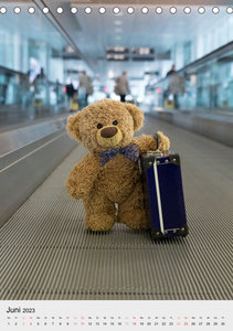 Travelling Teddy liebt es Bunt (Tischkalender 2023 DIN A5 hoch)