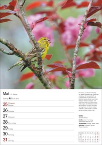 Heimische Vögel Wochenplaner 2026