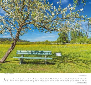 Achtsamkeit 2024 - DUMONT Wandkalender - mit den wichtigsten Feiertagen - Format 38,0 x 35,5 cm