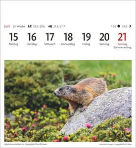 Südtirol Sehnsuchtskalender 2026