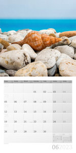 Muscheln Kalender 2023 - 30x30