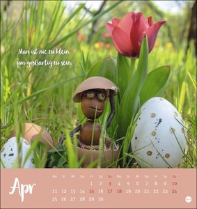Eichelmännchen Postkartenkalender 2022
