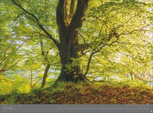 Deutsche Nationalparks - Edition Alexander von Humboldt 2026