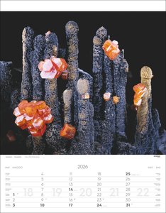 Mineralien Kalender 2026