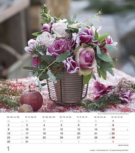 Der Duft der Rosen 2023 - Bildkalender 30x34 cm - Kalender mit wohl riechendem Duftlack - Duftkalender - Wandkalender - Blumenkalender