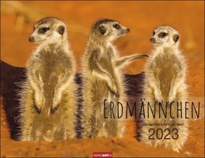 Erdmännchen Kalender 2023
