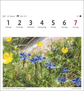 Alpen Sehnsuchtskalender 2024. 53 Postkarten in einem Fotokalender für Bergfreunde. Beeindruckende Panoramen in einem Kalender zum Aufstellen