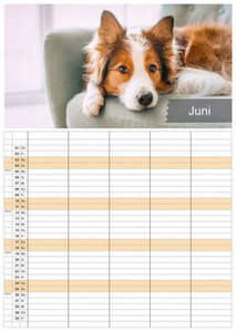 Wuff - Unsere Vierbeiner - Der Hundekalender - 2023 - Kalender DIN A3 - (Familienplaner)