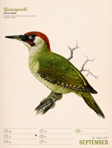 Wunderbare Vogelwelt - Vintage Wochenplaner Kalender 2024