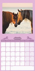 Mein Pferdekalender 2024 - Broschürenkalender 30x30 cm (30x60 geöffnet) - Kalender mit Platz für Notizen - Bildkalender - Wandplaner - Wandkalender