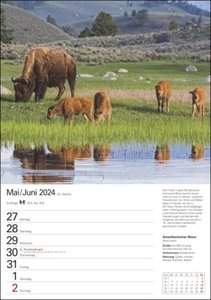 Unsere Tierwelt Wochenplaner 2024. Praktisch und informativ: Kalender mit Platz für Notizen und Wochenkalendarium. Jede Woche beeindruckende Tierfotos in einem Terminkalender zum Aufhängen