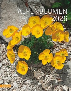 Alpenblumen Kalender 2026