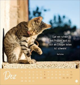 Never give up! Postkartenkalender 2026