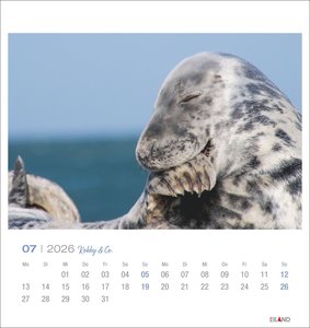 Robby & Co. Postkartenkalender 2026