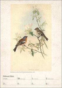 Bunte Vogelwelt Kalender 2022