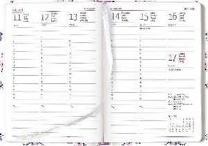 Ladytimer Midi Flowers 2023 - Taschen-Kalender 12x17 cm - Blumen - mit Mattfolie - Notiz-Buch - Weekly - 192 Seiten - Alpha Edition