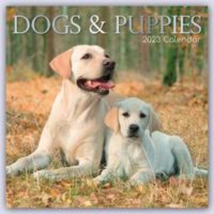 Dogs & Puppies - Hunde & Welpen 2023 - 16-Monatskalender