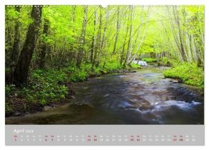Waldbäche - Im Wandel der Jahreszeiten (Wandkalender 2024 DIN A2 quer), CALVENDO Monatskalender