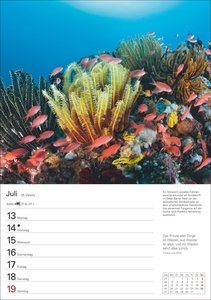 Wunder der Natur Wochenplaner 2026