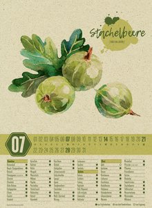 Saisonkalender - Obst & Gemüse - Graspapier-Kalender 2024