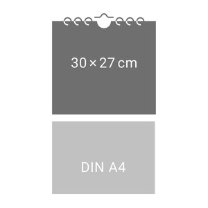 times&more Eichhörnchen Bildkalender 2026