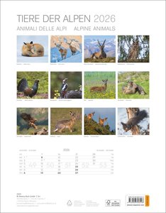 Tiere der Alpen Kalender 2026
