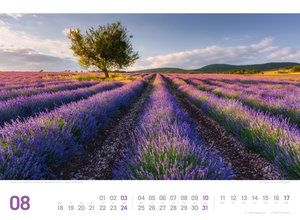 Provence - von der Cote d´ Azur bis in die Alpen - ReiseLust Kalender 2025