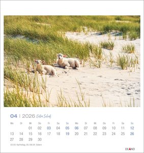 Extra Schaf Postkartenkalender 2026