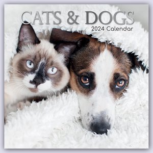 Cats & Dogs - Katzen & Hunde 2024 - 16-Monatskalender