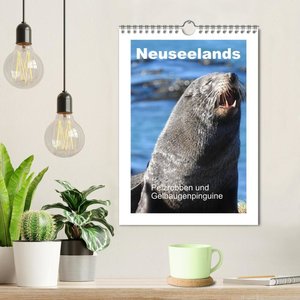 Neuseelands Pelzrobben und Gelbaugenpinguine (Wandkalender 2024 DIN A4 hoch), CALVENDO Monatskalender
