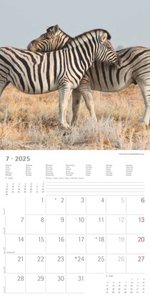 Beste Freunde 2025 - Broschürenkalender 30x30 cm (30x60 geöffnet) - Kalender mit Platz für Notizen - Best Friends - Bildkalender - Wandkalender