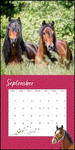 Pferdefreunde 2023 - Broschürenkalender - Kinder-Kalender - Format 30 x 30 cm