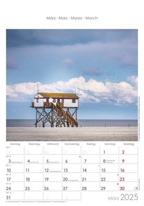 Norddeutschland 2025 - Bild-Kalender 23,7x34 cm - Regional-Kalender - Wandkalender - mit Platz für Notizen - Alpha Edition