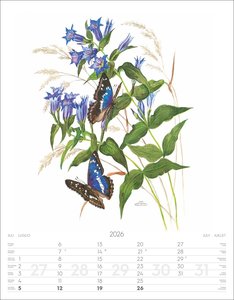 Alpenblumen-Aquarelle Kalender 2026